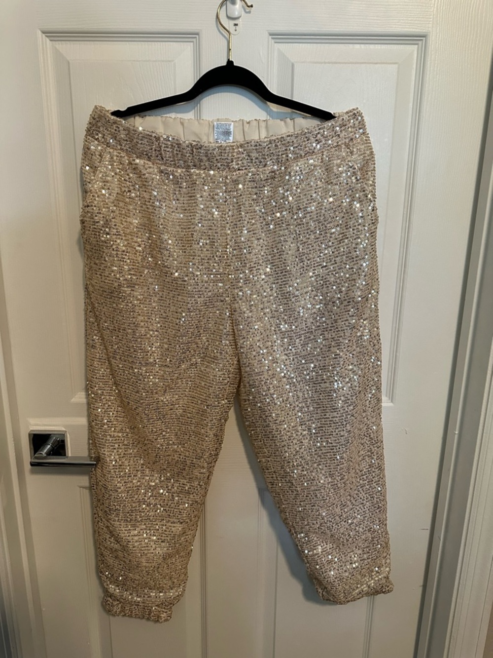 Sequin pants